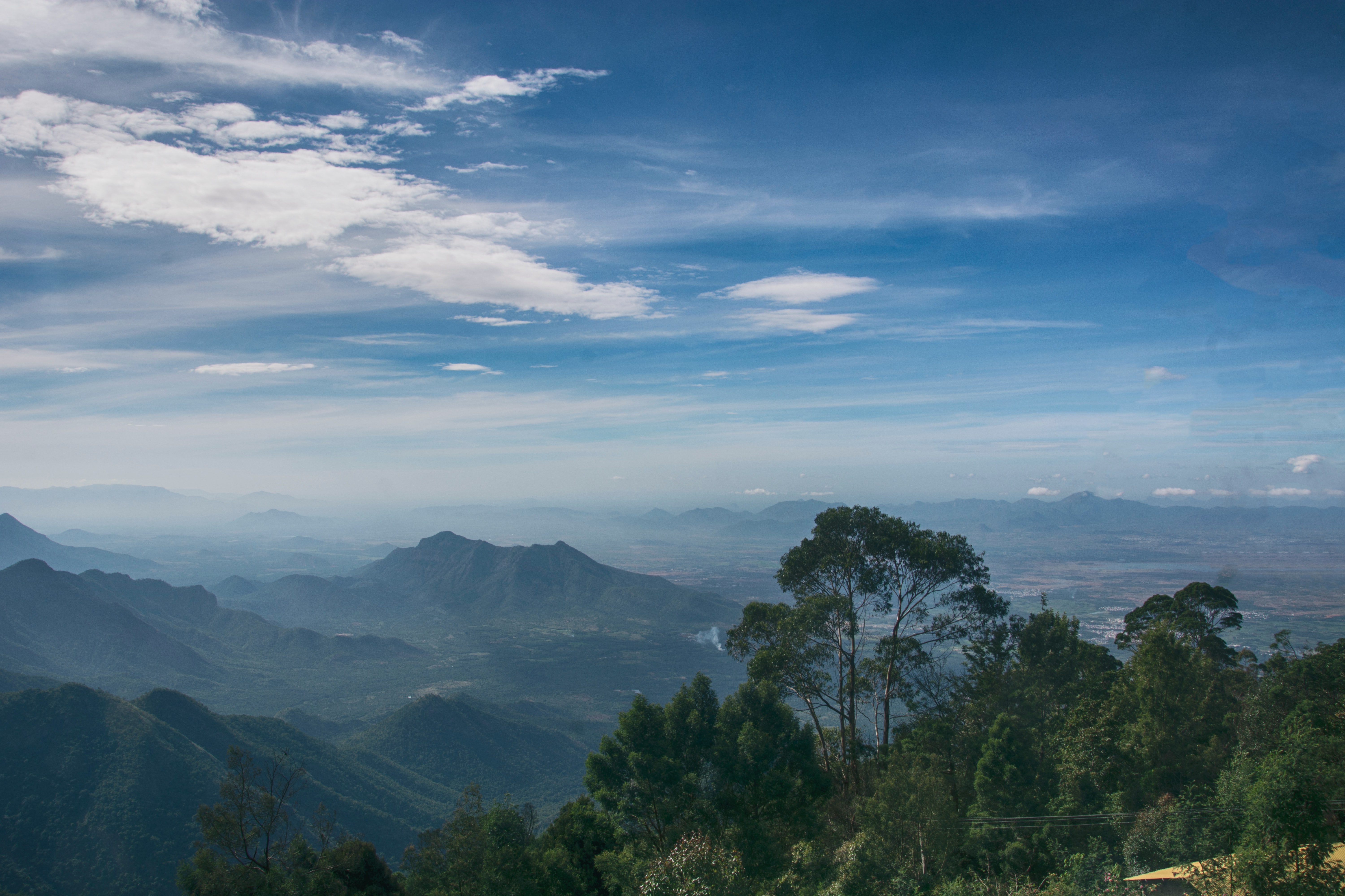 prasanta-kr-dutta-R8uBDxnYObk-unsplash